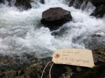 Easedale label rapids
