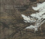 Veined with Shadow Branches